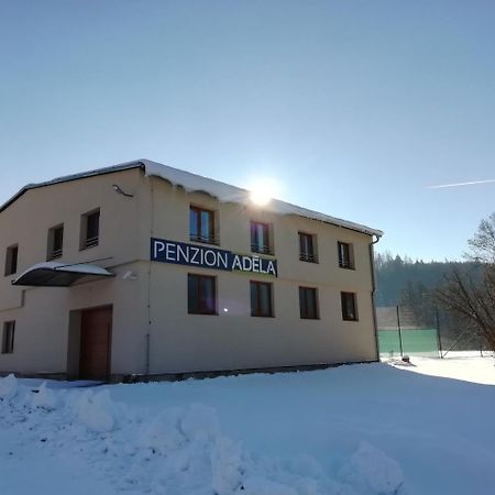 Penzion Adela Rožnov pod Radhoštěm Zewnętrze zdjęcie